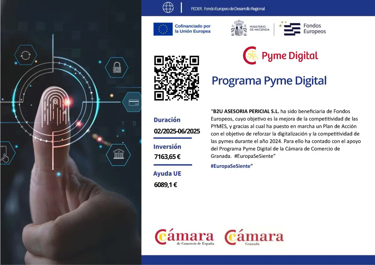 Programa Pyme Digital B2U